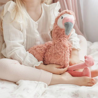 Francesca the Weighted Flamingo
