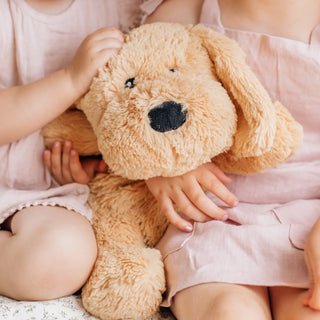 Charlie the Weighted Puppy Dog
