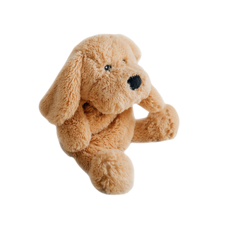 Charlie the Weighted Puppy Dog
