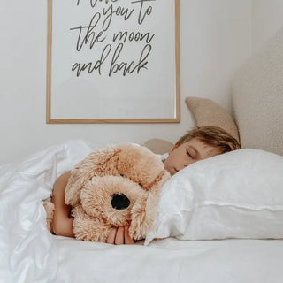 Charlie the Weighted Puppy Dog
