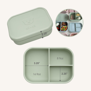 Ali+Oli Reusable Silicone Bento Box – Pine
