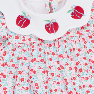 Apple Blossom Embroidered Collar Ruffle Outfit
