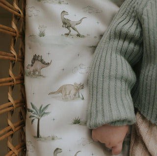Crib Sheet – Dino Dream
