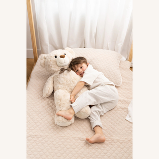 Small Bear Plush Toy
