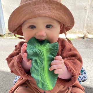 Kendall the Kale Baby Teether & Bath Toy

