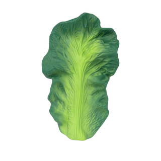 Kendall the Kale Baby Teether & Bath Toy
