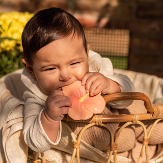 Iris the Hibiscus Baby Teether & Bath Toy
