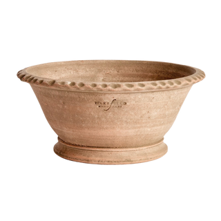 Wakefield Alvena Forcing Pot #6 – Aged Terracotta

