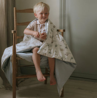 Toddler Duvet – Dino Dreams
